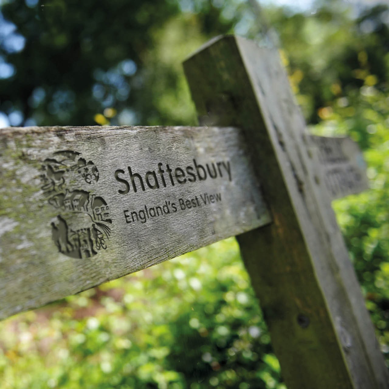 Shaftesbury Town Council Rocketbox Design shaftesbury-town-council-rocketbox-design